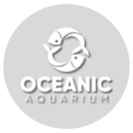 Oceanic Aquarium Balneário Camboriú Santa Catarina